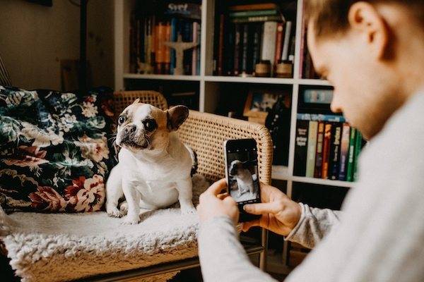 How to Track Influencer Instagram Stories 2