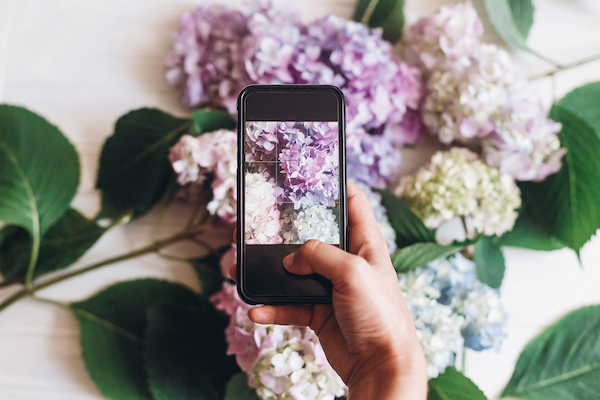 Go from Beginner to Pro with Our Influencer Marketing Glossary 3